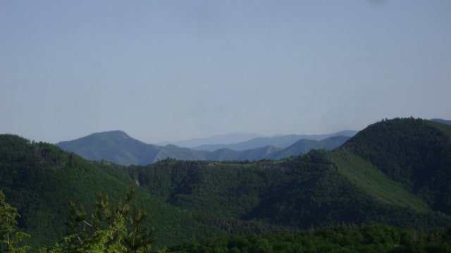 DSC05709-1