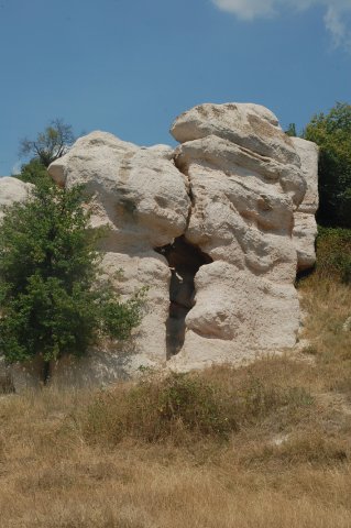 DSC_1591-1