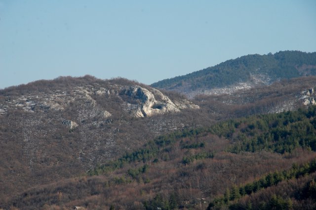 DSC_2498-1