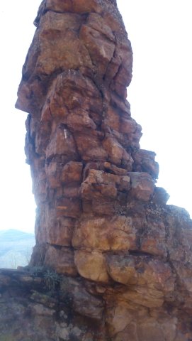 moniak2