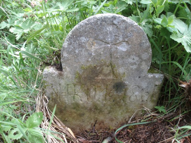 P5280501