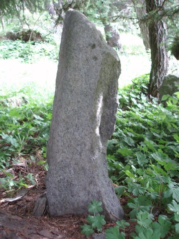 P5280504
