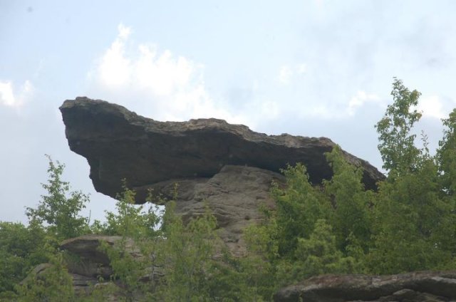priturenkamuk-borovica