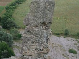 borovica