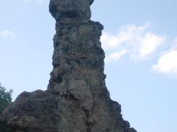 borovica10