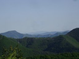 DSC05709-1