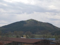 DSC_3508-1