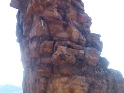 moniak2