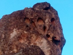 moniak3