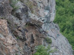 nisha-borovica