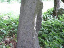 P5280504