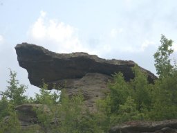 priturenkamuk-borovica