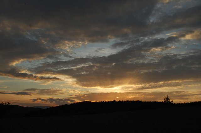 DSC_9751