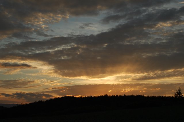 DSC_9752