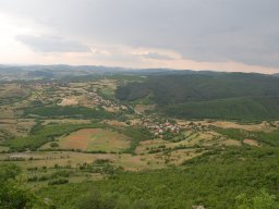 DSC_9503