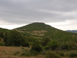 DSC_9715