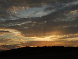 DSC_9752