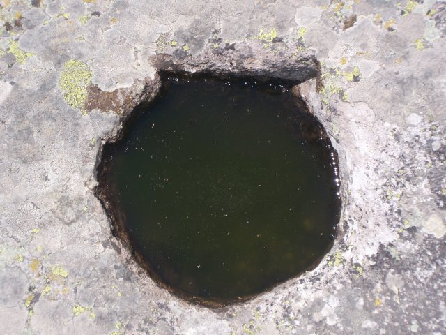 100_1482_pl