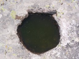100_1482_pl
