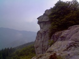 Снимка0030