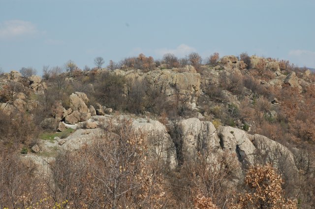 DSC_3949~0