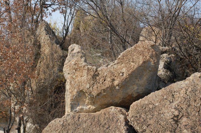 DSC_4013