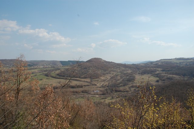 DSC_4088