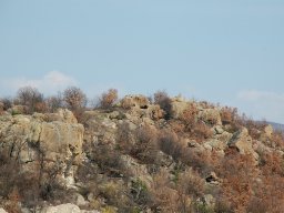 DSC_3950