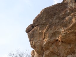 DSC_4060