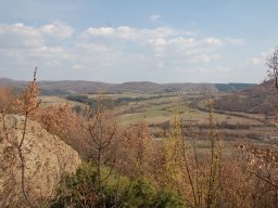 DSC_4065