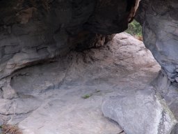 DSC_0125-1