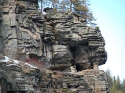 DSC_0195-1