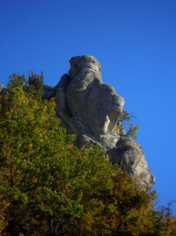 DSCN0323-1