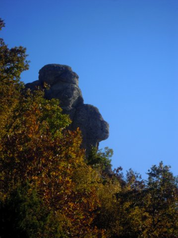 DSCN0326-1