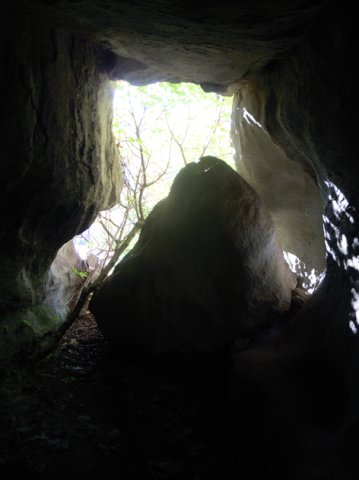 DSCN0354-1