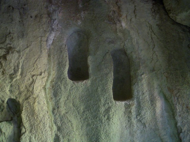 DSCN0356-1