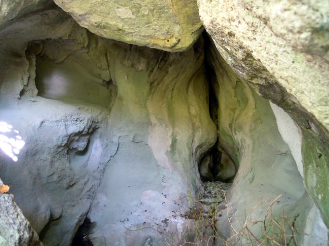 DSCN0366-1