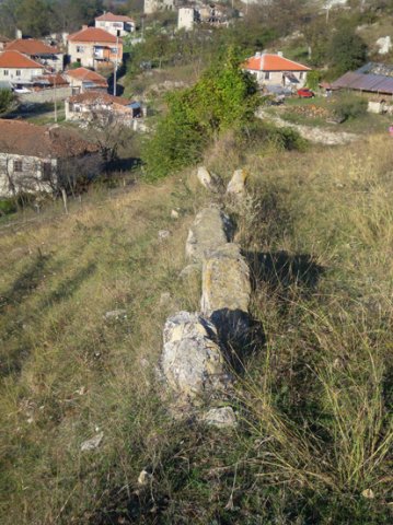 DSCN0382