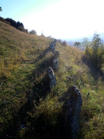 DSCN0383-1