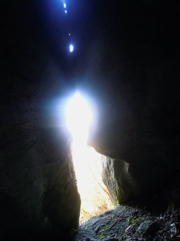 DSCN0398-1