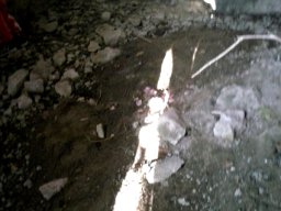 CAM00801-1