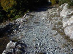 DSCN0318-1~3