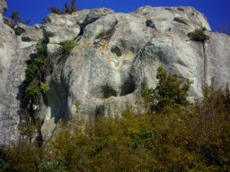 DSCN0321-1