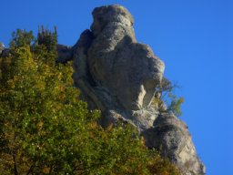 DSCN0323-1