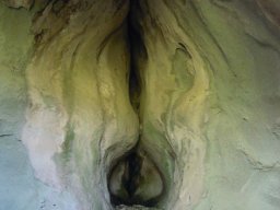 DSCN0340-1