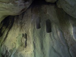 DSCN0341-1