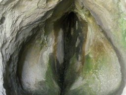 DSCN0350-1