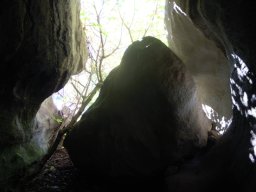 DSCN0354-1