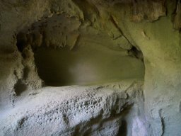 DSCN0362-1