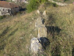 DSCN0382